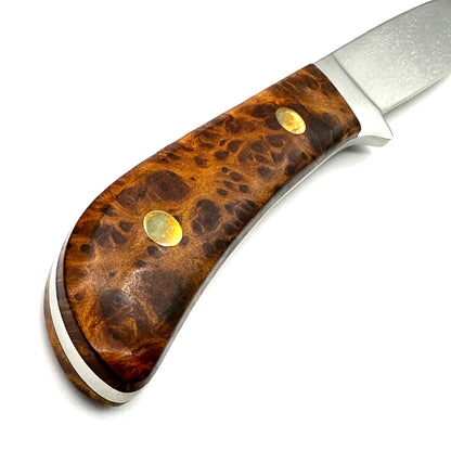 Queen #4180 Premium Drop Point Hunter - Maple Burl Handle