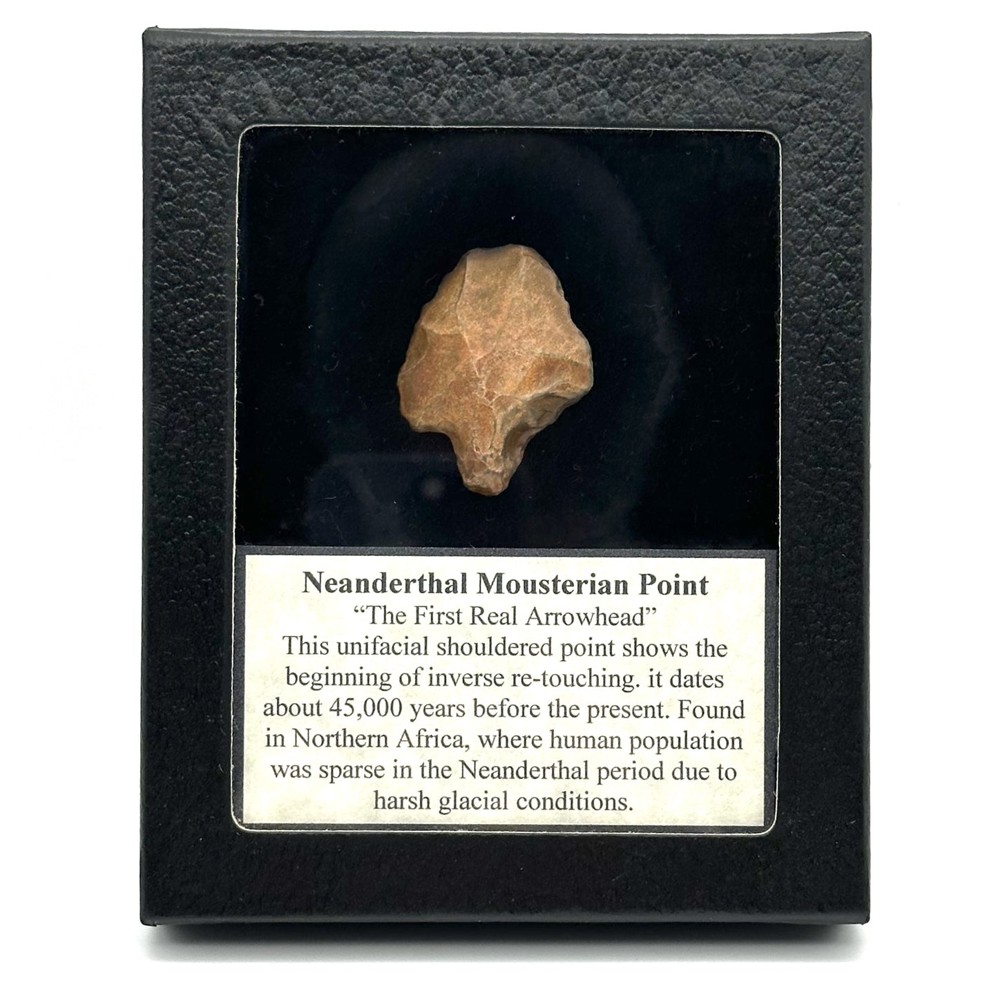 Arrowhead - Neanderthal Mousterian Point